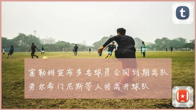 富勒姆宣布多名球员合同到期离队劳尔希门尼斯等人将离开球队